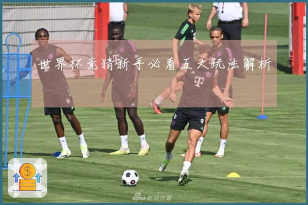 世界杯竞猜新手必看五大玩法解析