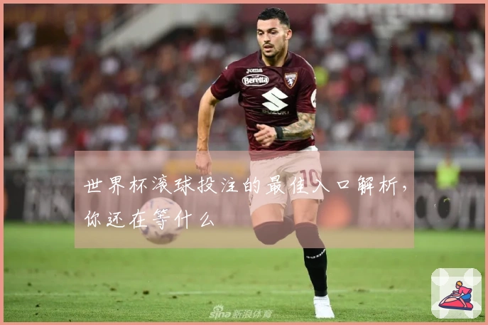 世界杯滚球投注的最佳入口解析，你还在等什么