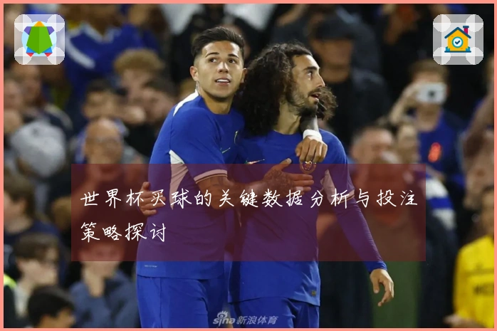 世界杯买球的关键数据分析与投注策略探讨