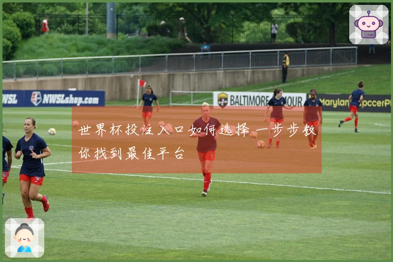 世界杯投注入口如何选择 一步步教你找到最佳平台