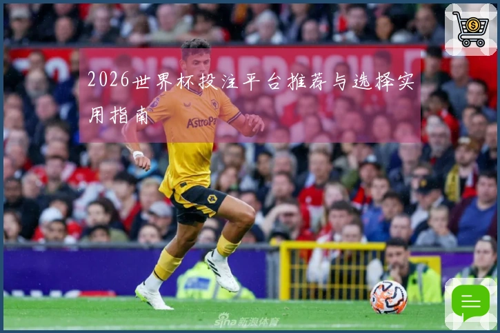 2026世界杯投注平台推荐与选择实用指南