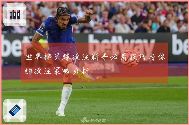 世界杯买球投注新手必看技巧与你的投注策略分析