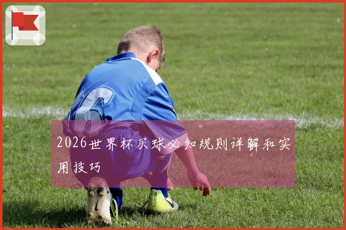 2026世界杯买球必知规则详解和实用技巧
