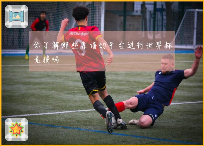 你了解哪些靠谱的平台进行世界杯竞猜吗