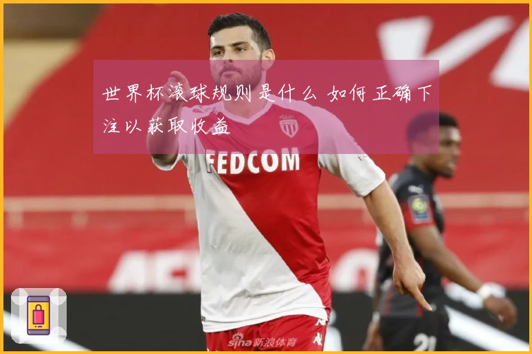 世界杯滚球规则是什么 如何正确下注以获取收益