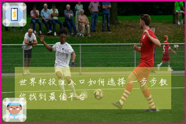 世界杯投注入口如何选择 一步步教你找到最佳平台
