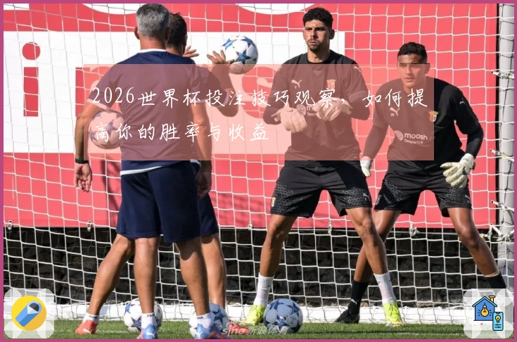 2026世界杯投注技巧观察，如何提高你的胜率与收益