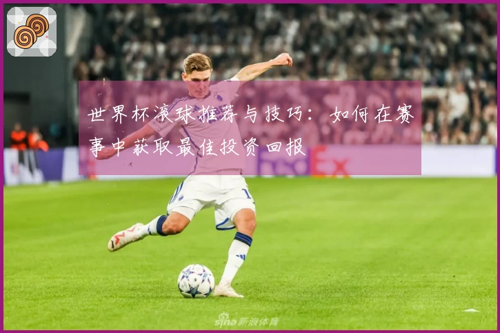 世界杯滚球推荐与技巧：如何在赛事中获取最佳投资回报