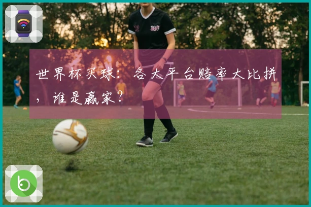 世界杯买球：各大平台赔率大比拼，谁是赢家？