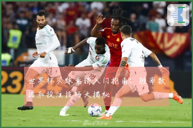 世界杯买球竞猜入门指南：胜率数据和投注技巧大揭秘