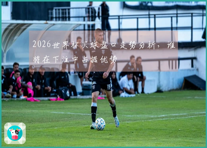 2026世界杯买球盘口走势分析，谁将在下注中占据优势