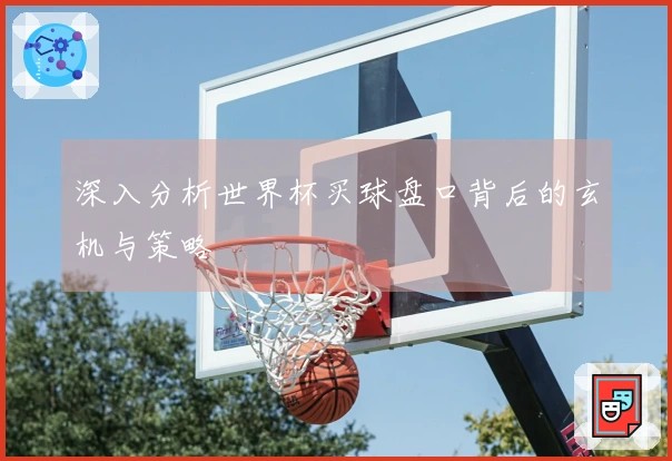 深入分析世界杯买球盘口背后的玄机与策略