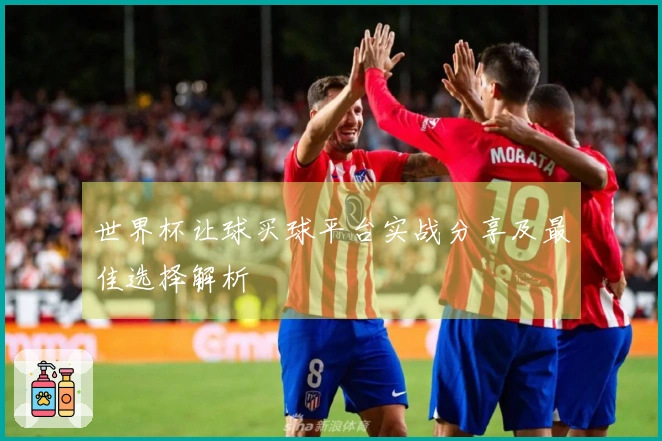 世界杯让球买球平台实战分享及最佳选择解析