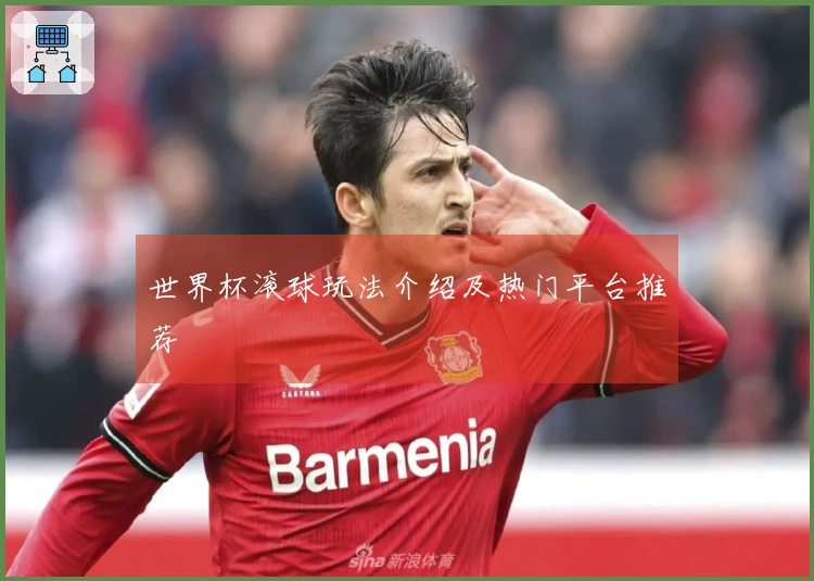 世界杯滚球玩法介绍及热门平台推荐