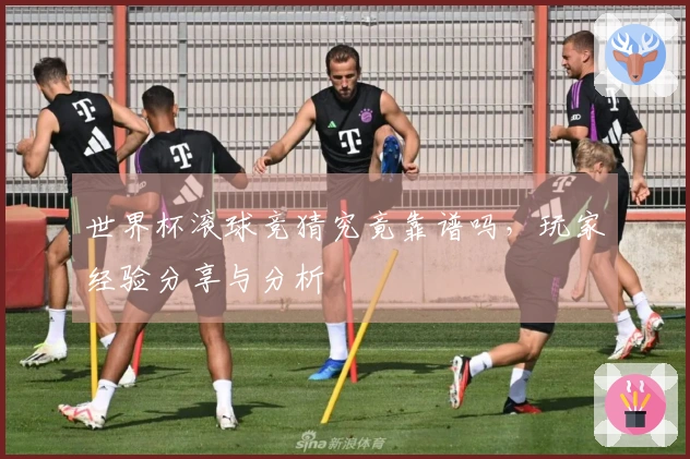 世界杯滚球竞猜究竟靠谱吗，玩家经验分享与分析