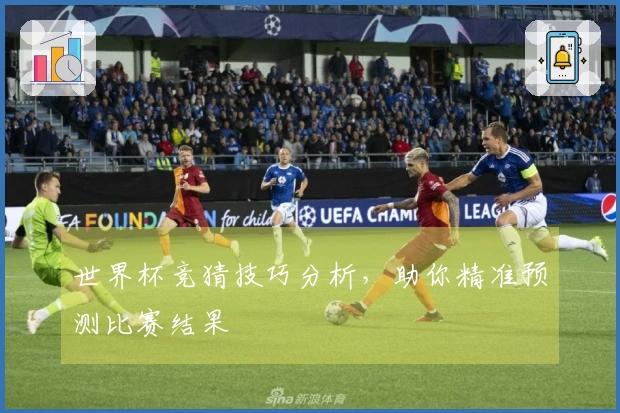 世界杯竞猜技巧分析，助你精准预测比赛结果