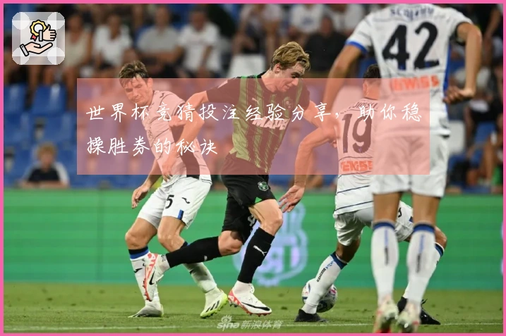 世界杯竞猜投注经验分享，助你稳操胜券的秘诀