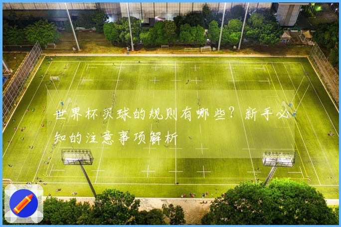 世界杯买球的规则有哪些？新手必知的注意事项解析
