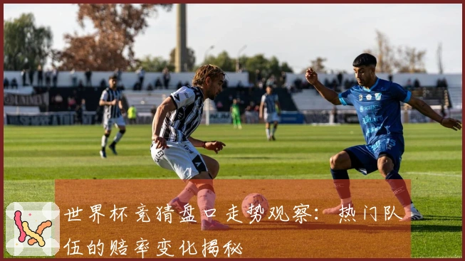 世界杯竞猜盘口走势观察：热门队伍的赔率变化揭秘