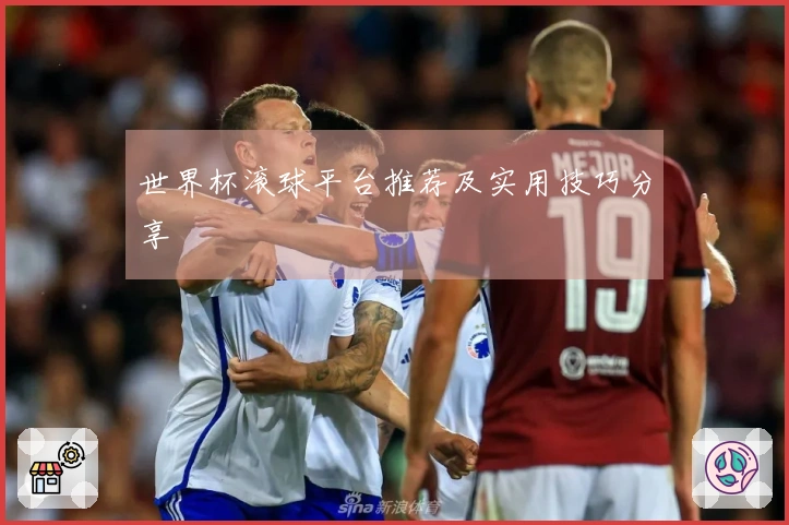 世界杯滚球平台推荐及实用技巧分享