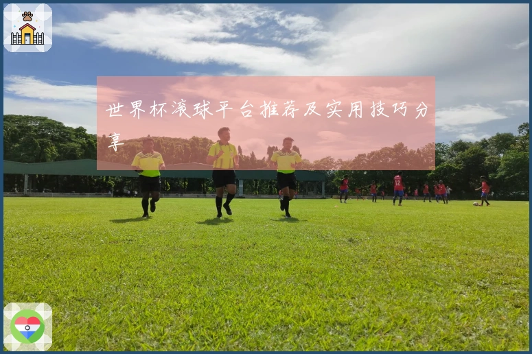 世界杯滚球平台推荐及实用技巧分享