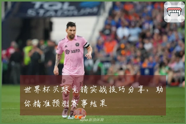 世界杯买球竞猜实战技巧分享，助你精准预测赛事结果